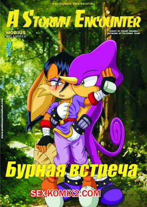 Хентай Манга Соник. Бурная встреча Хентай Манга Соник. Бурная встреча